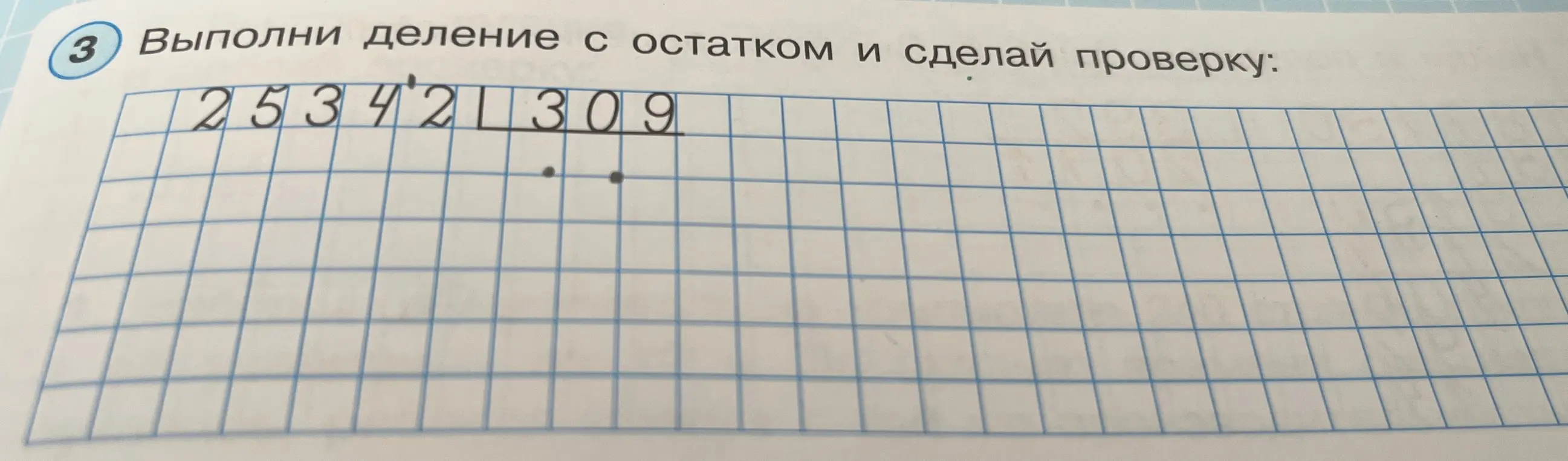Выполни деление с остатком числа 253421 на 309 и сделай проверку.