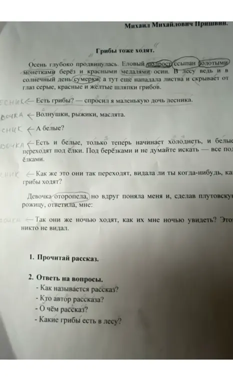Ответь на вопросы: Как называется рассказ? Кто автор рассказа? О чём рассказ? Какие грибы есть в лесу?