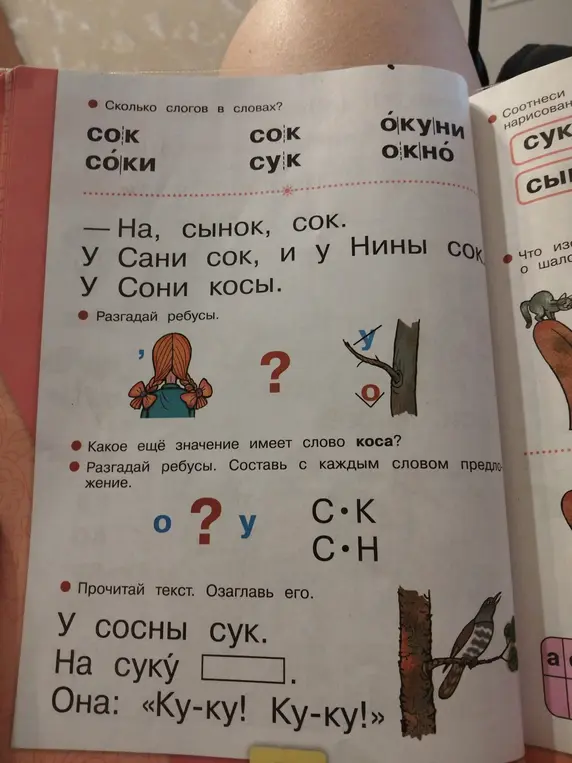 Ответь на вопросы по русскому языку: посчитай слоги, разгадай ребусы, составь предложения.