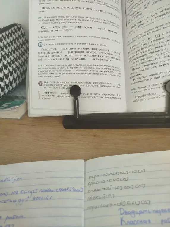 Подбери слова, иллюстрирующие разноместность и подвижность русского ударения (пять примеров). Запиши эти слова и поставь в них ударение. Допиши начатые предложения. Запиши слова в алфавитном порядке.