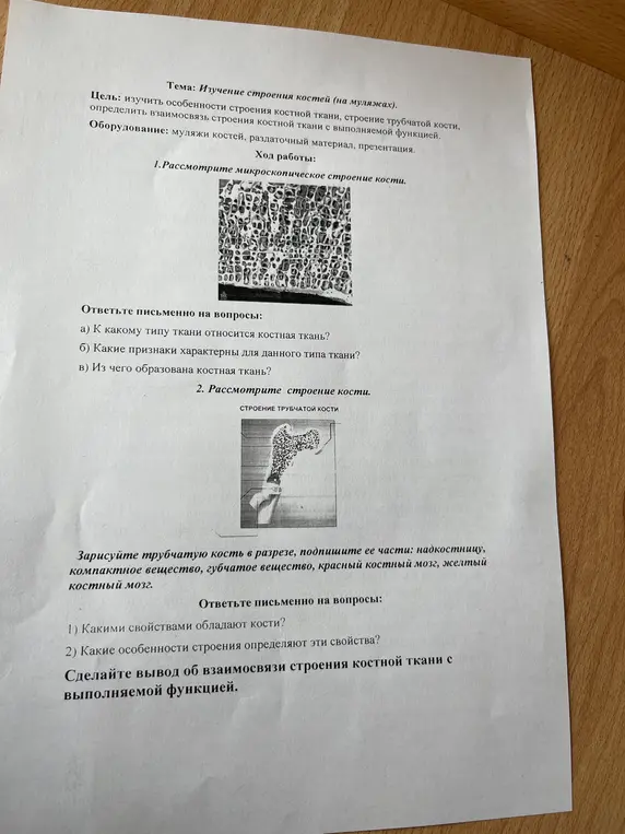 Изучи особенности строения костной ткани и ответь на вопросы о микроскопическом строении кости и строении трубчатой кости.
