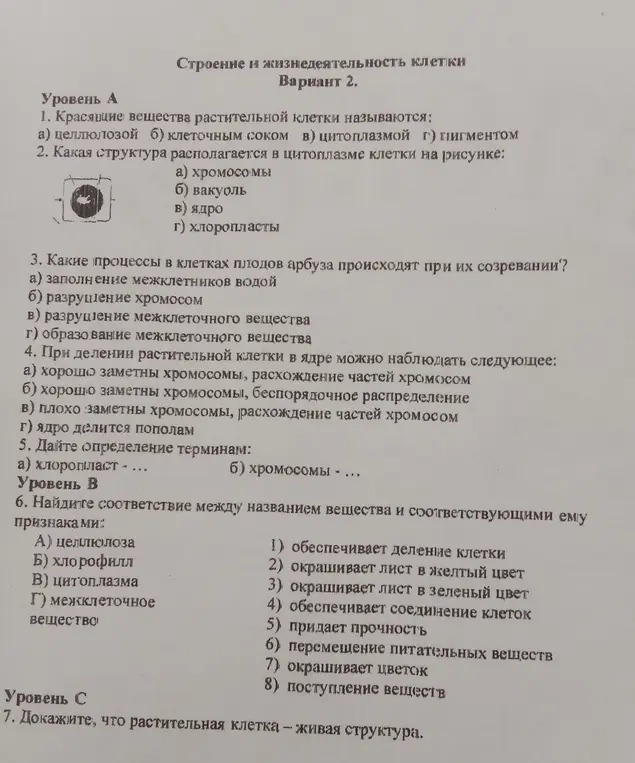 Ответь на вопросы по строению и жизнедеятельности клетки.