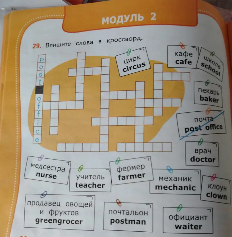Впиши слова в кроссворд.