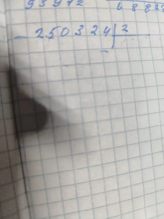 Раздели в столбик 250324 на 2