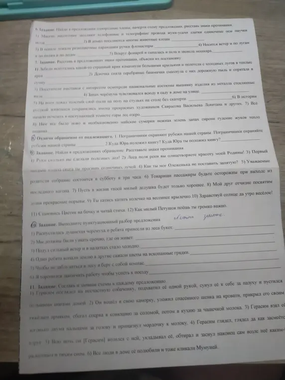 Найди однородные члены, расставь знаки препинания, выполни пунктуационный разбор предложения.