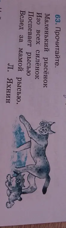 Прочитай стихотворение.