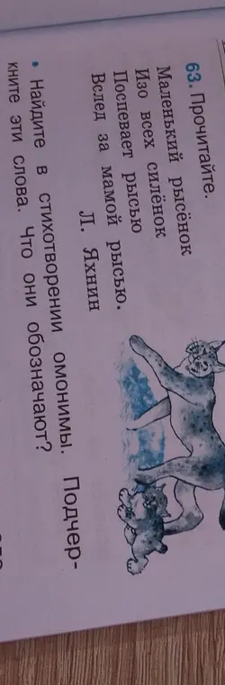 Найди в стихотворении омонимы и подчеркни эти слова. Что они обозначают?