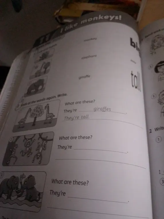 Ответь на вопросы по картинкам: What are these?