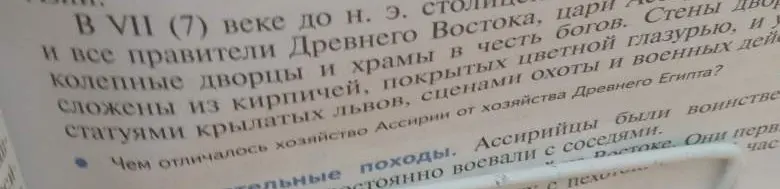 Расскажи, чем отличалось хозяйство Ассирии от хозяйства Древнего Египта?