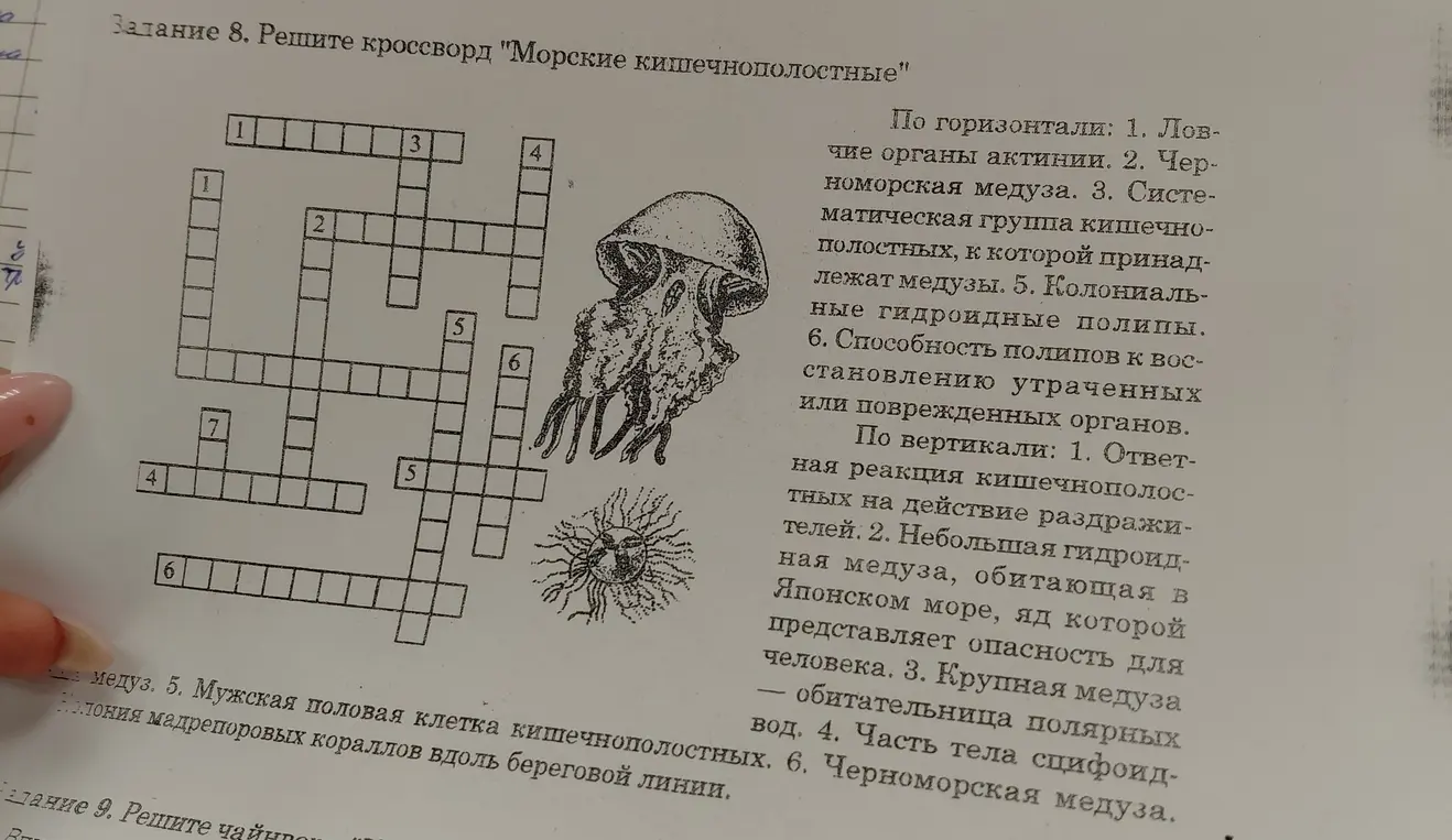 Реши кроссворд "Морские кишечнополостные".