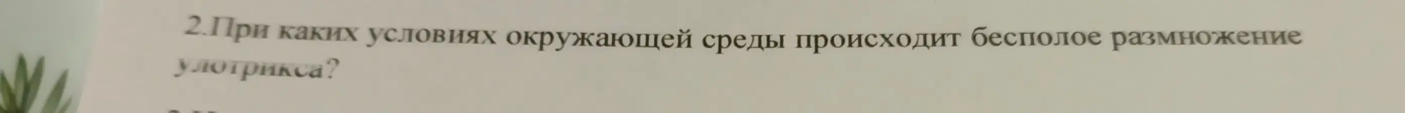 При каких условиях окружающей среды происходит бесполое размножение улотрикса?