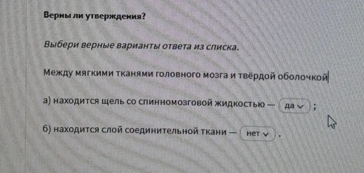 Выбери верные варианты ответа из списка про ткани головного мозга.