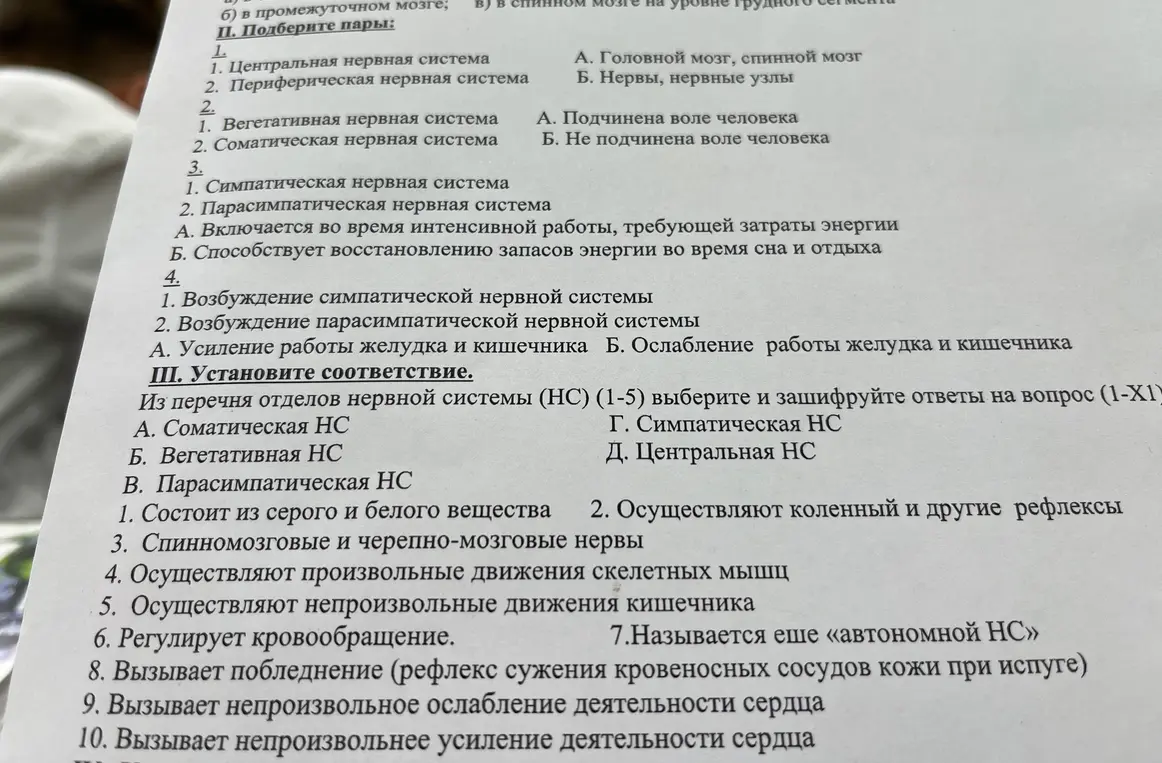 Выполни задания по установлению соответствия отделов нервной системы с их функциями.