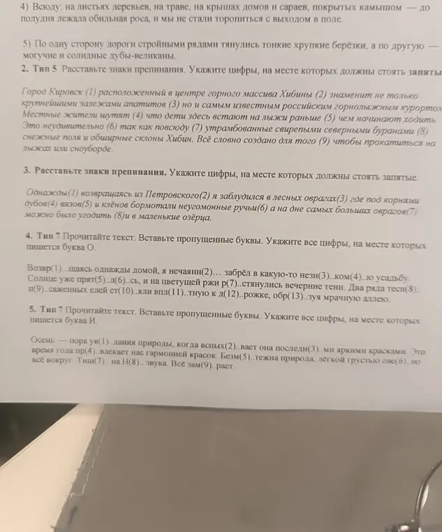 Расставь знаки препинания и вставь пропущенные буквы.