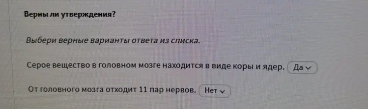 Определи, верны ли утверждения: 'Серое вещество в головном мозге находится в виде коры и ядер' и 'От головного мозга отходит 11 пар нервов'.