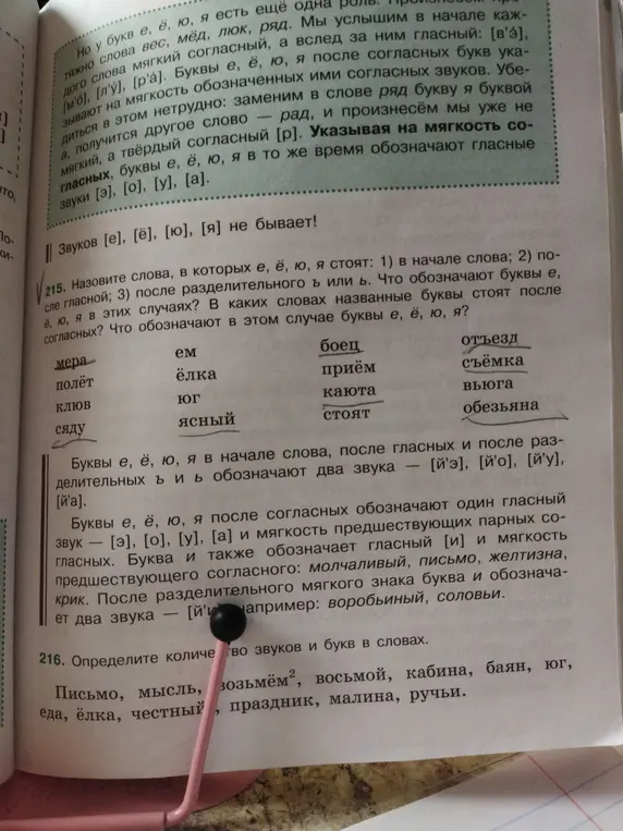Назови слова, в которых е, ё, ю, я стоят: 1) в начале слова; 2) после гласной; 3) после разделительного ъ или ь. Что обозначают буквы е, ё, ю, я в этих случаях? В каких словах названные буквы стоят после согласных? Что обозначают в этом случае буквы е, ё, ю, я?