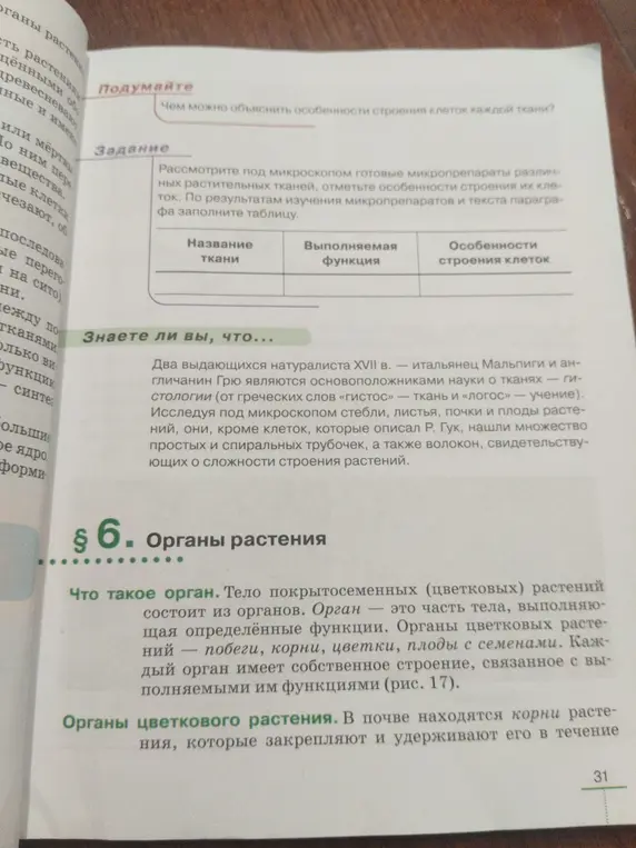 Рассмотри под микроскопом готовые микропрепараты различных растительных тканей, отметь особенности строения их клеток. По результатам изучения микропрепаратов и текста параграфа заполни таблицу.