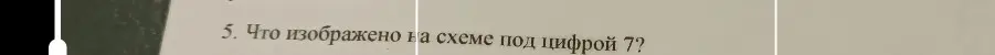 Что изображено на схеме под цифрой 7?