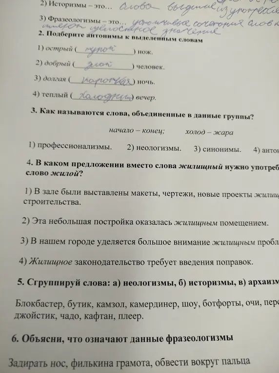 Выполни задания по русскому языку: подбери антонимы, определи тип слов, замени слово в предложении, сгруппируй слова, объясни значение фразеологизмов.