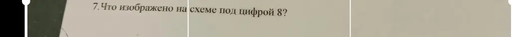 Скажи, что изображено на схеме под цифрой 8?