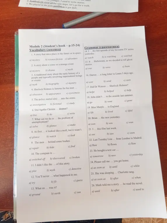Выполни упражнения vocabulary и grammar, выбрав один из вариантов ответа.