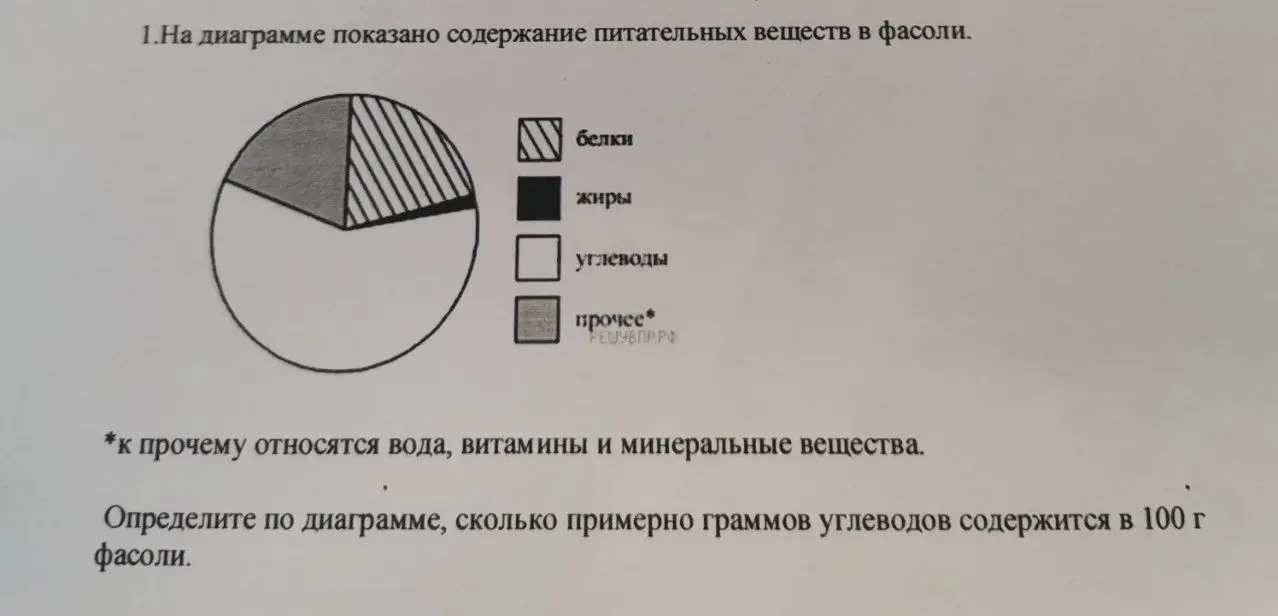 Определи по диаграмме, сколько примерно граммов углеводов содержится в 100 г фасоли.