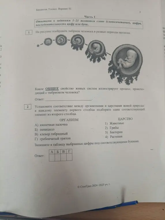 Определи общее свойство живых систем, иллюстрирующее процесс, происходящий с эмбрионом человека, и установи соответствие между организмами и царствами живой природы.