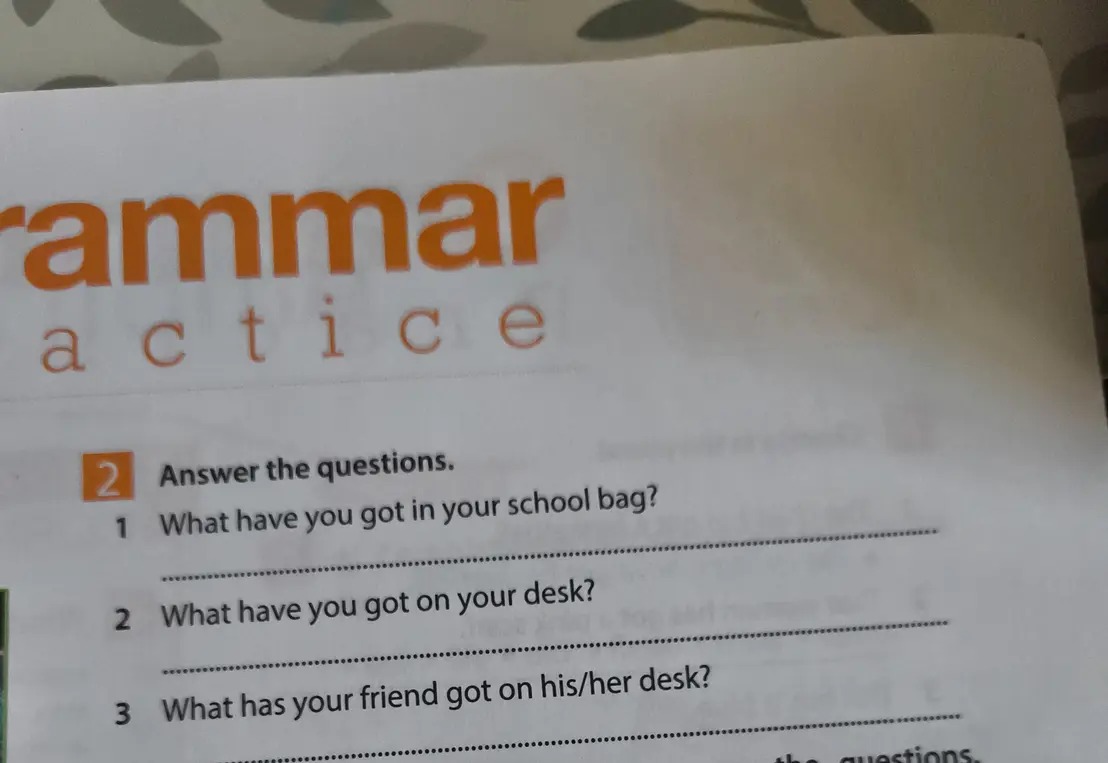Ответь на вопросы: 1. What have you got in your school bag?