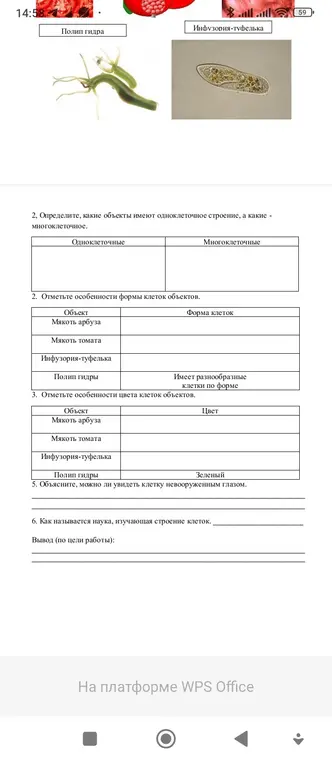 Ознакомься с растительными и животными клетками томата и арбуза (натуральные препараты), инфузории туфельки и гидры (готовые микропрепараты) с помощью лупы и светового микроскопа. Определи, какие объекты имеют одноклеточное строение, а какие — многоклеточное. Отметь особенности формы и цвета клеток объектов. Объясни, можно ли увидеть клетку невооружённым глазом. Назови науку, изучающую строение клеток. Сделай вывод.