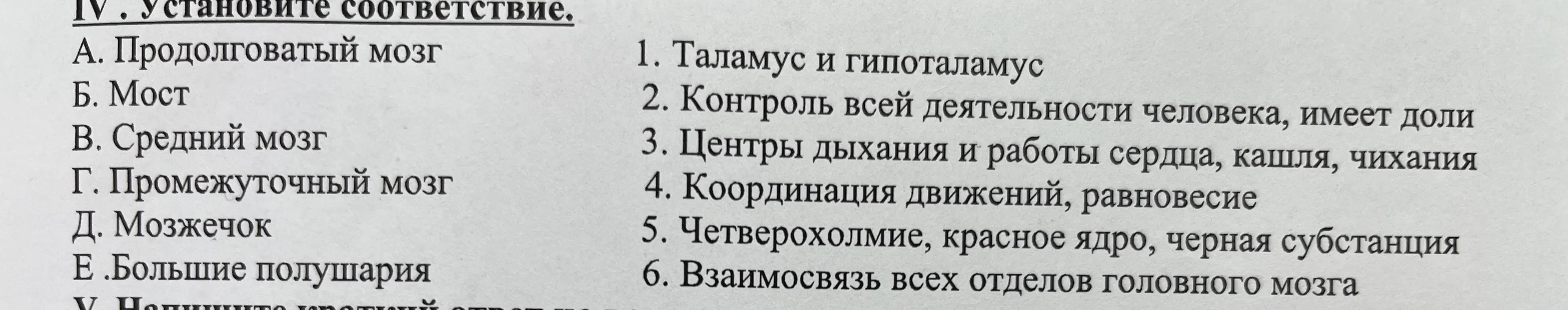 Установи соответствие между отделами мозга и их функциями.