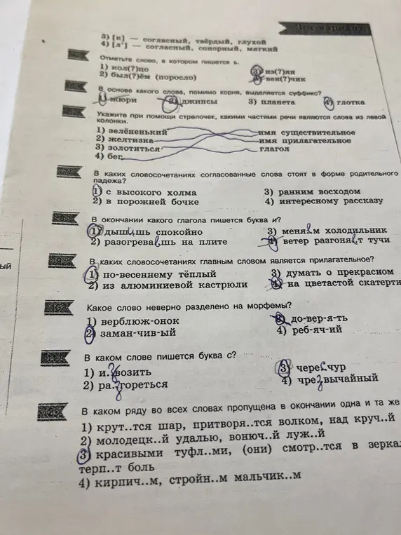 Ответь на вопросы из изображения по русскому языку.