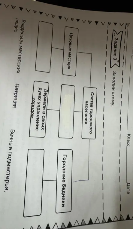 Заполни схему про состав городского населения.