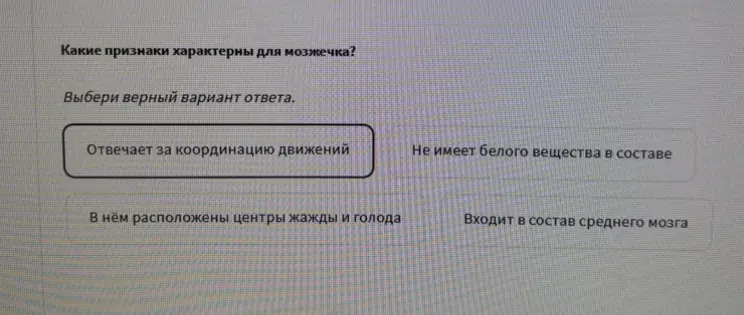 Какие признаки характерны для мозжечка?