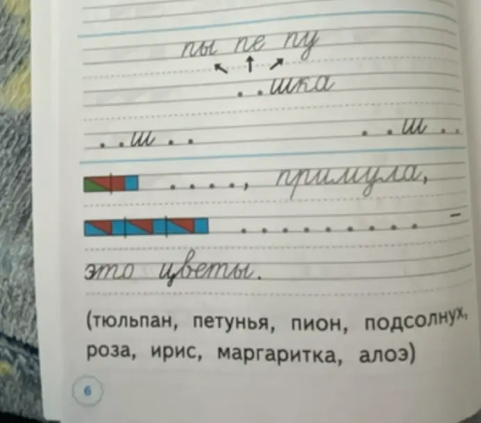 Вставь слова, которые начинаются на слог "пы", "пе", "пу", определи количество слогов и ударный слог в слове "примула", сделай звуковую схему к слову.