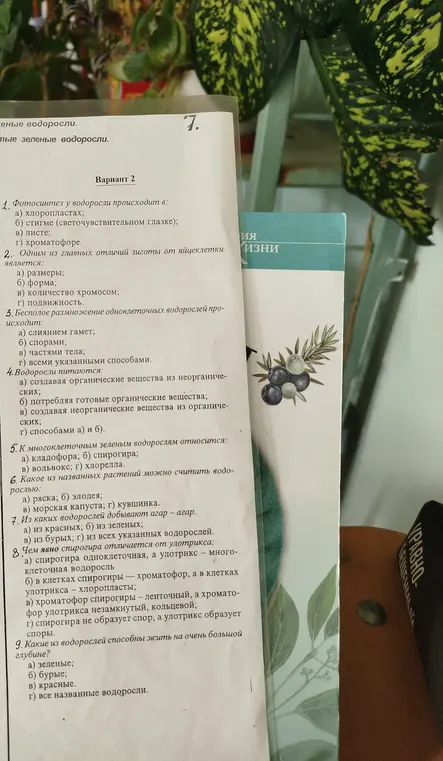 Ответь на вопросы по биологии из варианта 2: 1. Фотосинтез у водоросли происходит в...