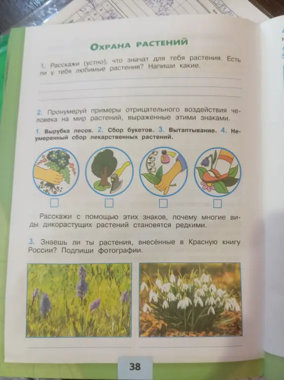 Пронумеруй примеры отрицательного воздействия человека на мир растений, выраженные этими знаками. Подпиши фотографии растений, внесённых в Красную книгу России.