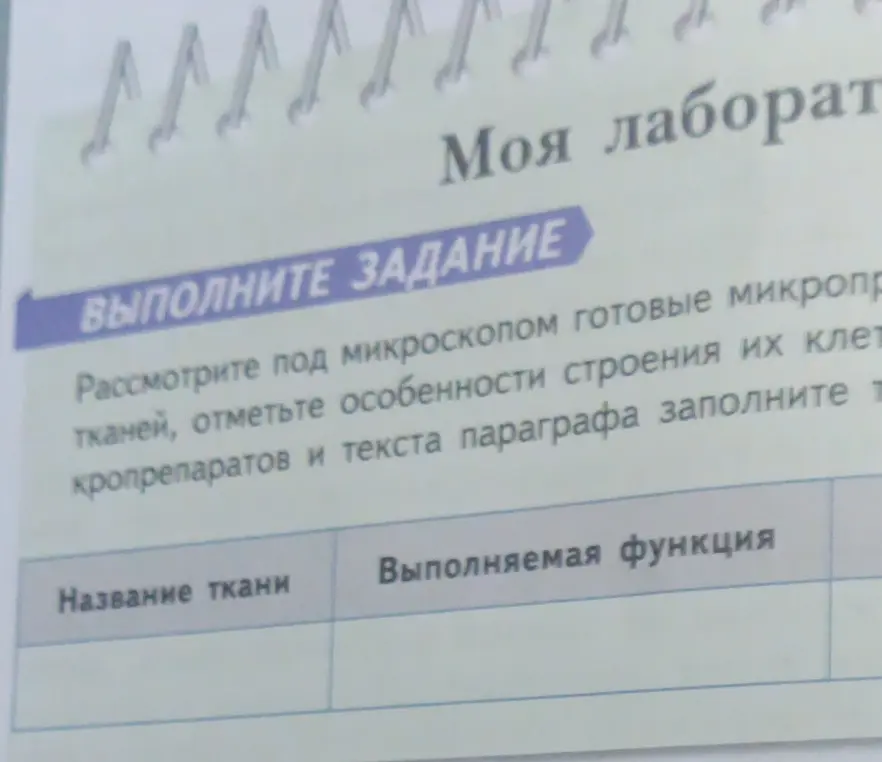 Заполни таблицу "Название ткани - Выполняемая функция".