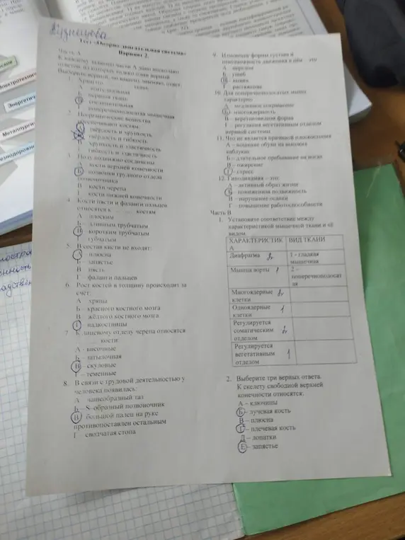 Выполни задания по биологии в тесте.