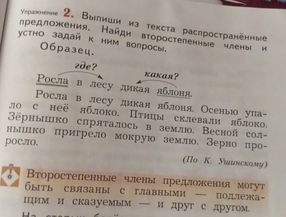Выпиши из текста распространённые предложения и найди второстепенные члены