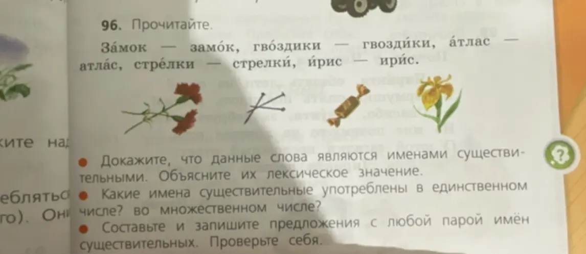 Прочитай слова, докажи, что данные слова являются именами существительными, объясни их лексическое значение, определи число имён существительных, составь предложение с парой имён существительных.
