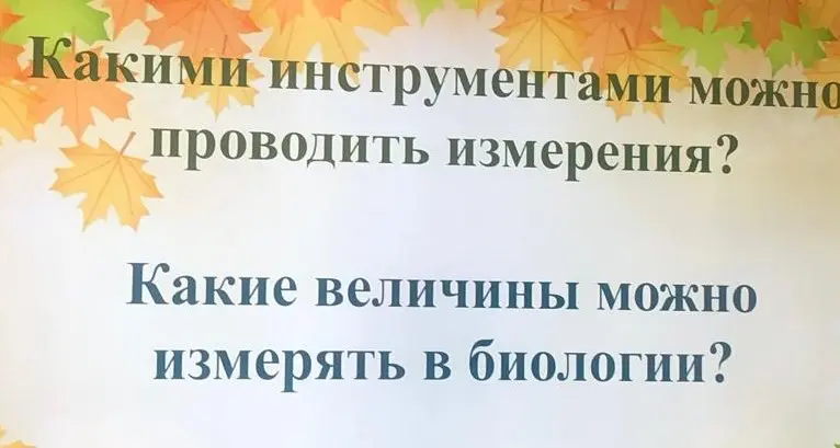 Какими инструментами можно проводить измерения и какие величины можно измерять в биологии?