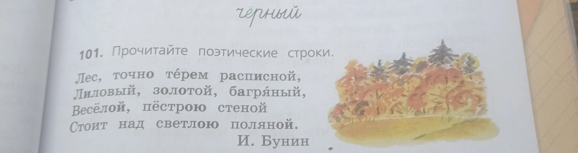 Прочитай поэтические строки.