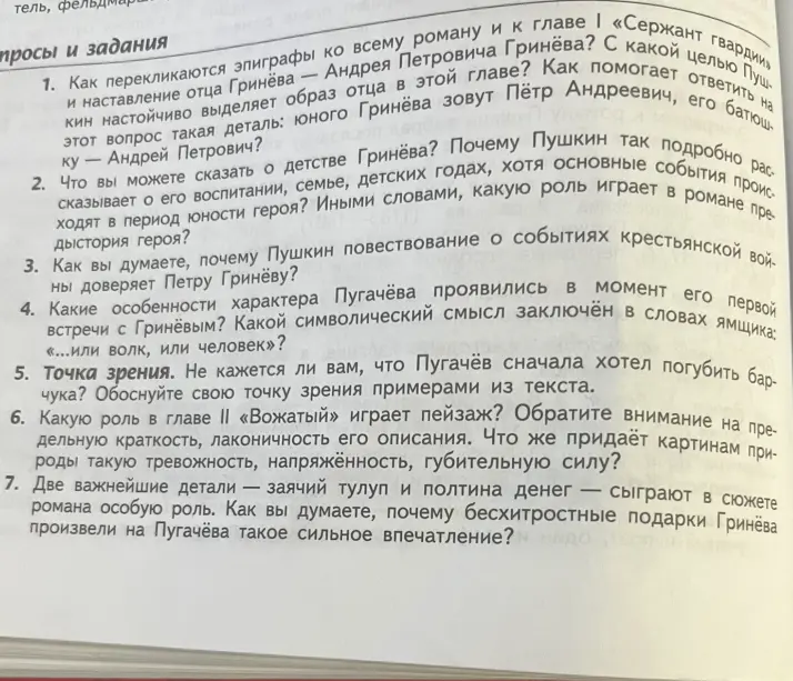 Ответь на вопросы по роману А.С. Пушкина "Капитанская дочка".