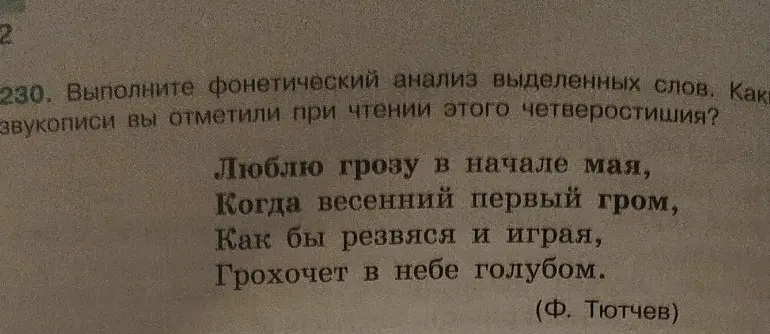Выполни фонетический анализ выделенных слов.