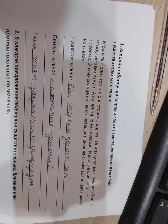 Заполни таблицу примерами слов из текста, укажи падеж имён существительных в тексте