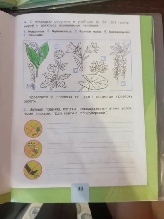 Запиши правила, которые «зашифрованы» этими условными знаками.