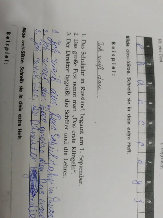 Составь сложноподчинённые предложения с союзом dass.