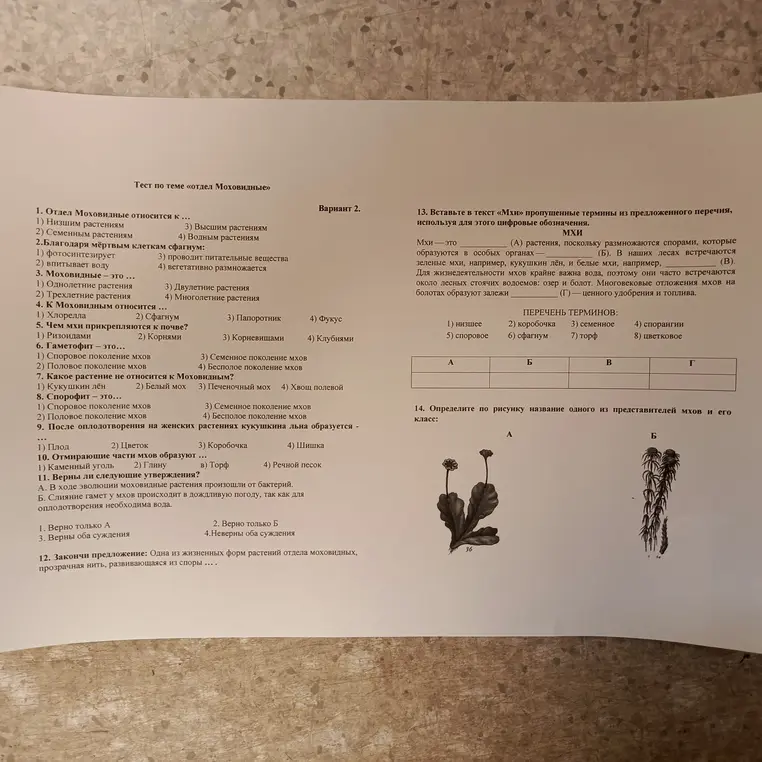 Ответь на вопросы теста по теме "Отдел Моховидные".