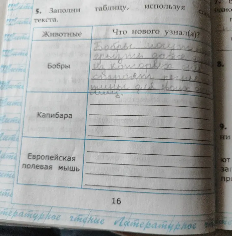 Заполни таблицу, что нового узнал(а) про бобров.