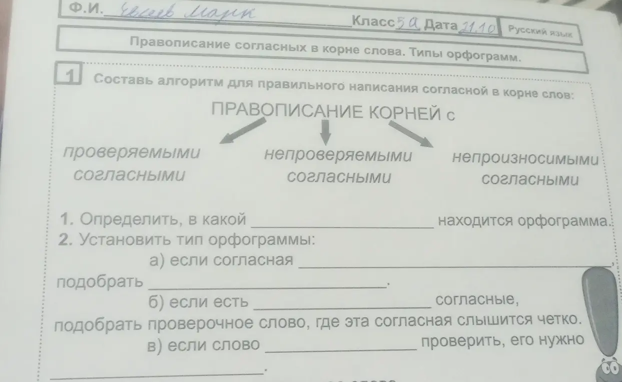 Составь алгоритм для правильного написания согласной в корне слов.